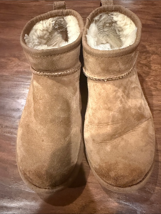 UGG Shoes - UGG Chestnut Suede Short  Booties - Tan